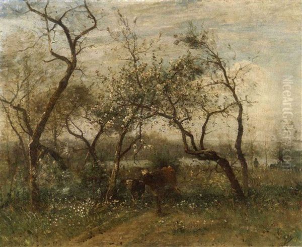 Cows Resting Under Fruit Trees In Bloom Oil Painting by Louis Aime Japy