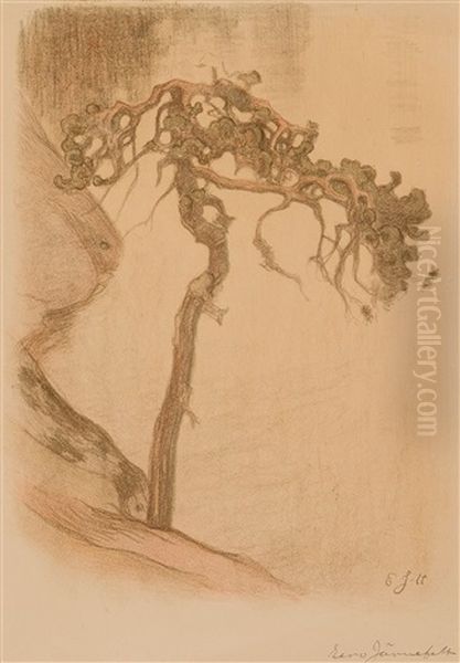 Gnarled Pine, Halosenniemi (1910) Oil Painting by Eero Jaernefelt