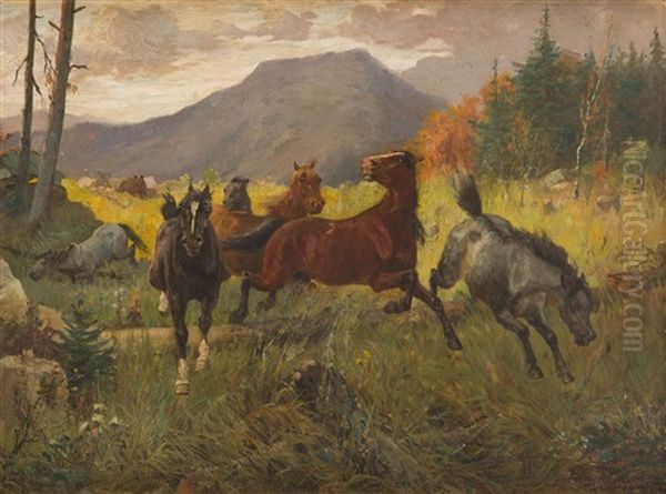 Horses On The Mountain Meadow Oil Painting by Jozef Jaroszynski