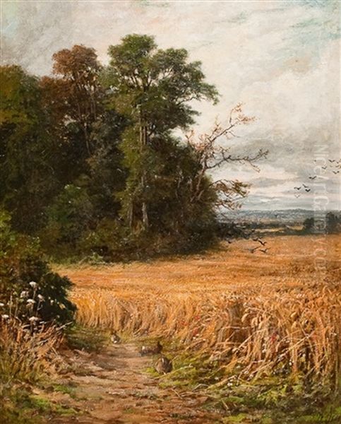 Rabbits In A Cornfield Oil Painting by William Samuel Jay