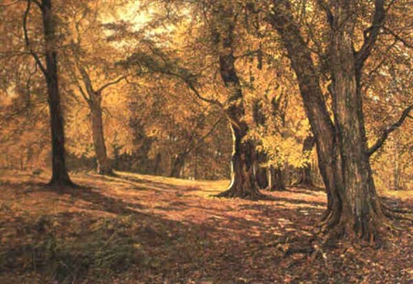 Amongst The Beeches Oil Painting by William Samuel Jay