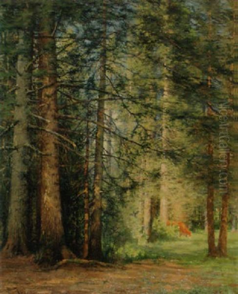 Dans La Foret De Sapins A La Joux Perret Oil Painting by Edouard Jeanmaire