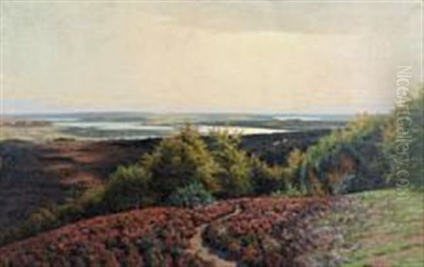 Hills With Heather Near Silkeborgsoerne, Denmark Oil Painting by Carl Milton Jensen