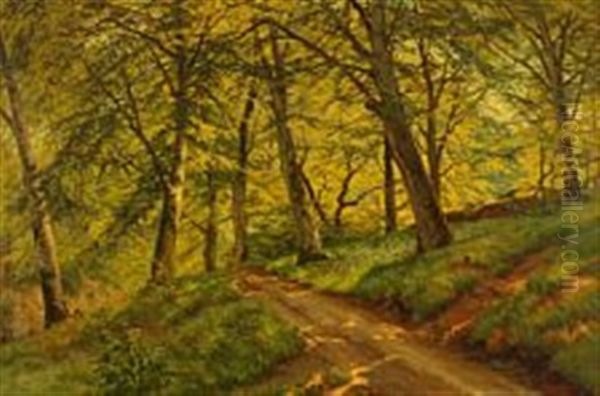 A Scene From Marselisborg Forest Oil Painting by Carl Milton Jensen