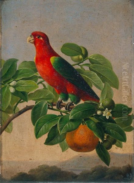 Chattering Lory On A Branch Oil Painting by Johan Laurentz Jensen