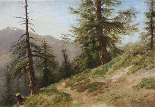 Wanderweg Mit Nadelbaumen Vor Gebirgskette Oil Painting by Jules Jequier