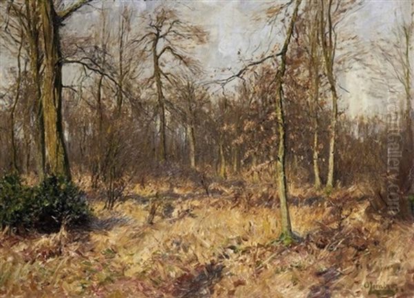 Stiller Herbsttag. Blick Auf Sonnige Lichtung In Dichtem Buchenwald Oil Painting by Olof August Andreas Jernberg