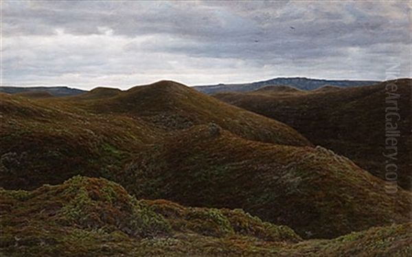 Jyllandskt Hedlandskap Oil Painting by Henrik Gamst Jespersen