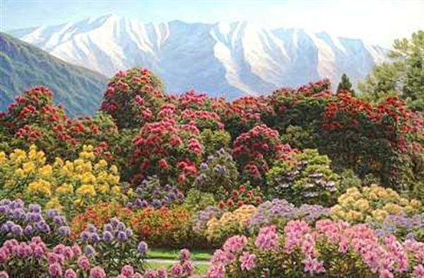 Blomstrende Rhododendron I Alperne, I Baggrunden Sneklaedte Bjerge Oil Painting by Henrik Gamst Jespersen