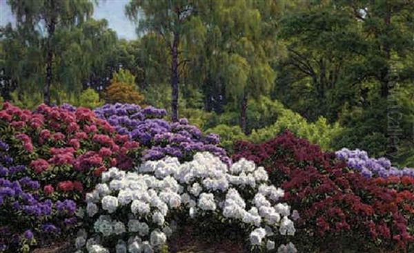 A Rhododendron Garden Oil Painting by Henrik Gamst Jespersen