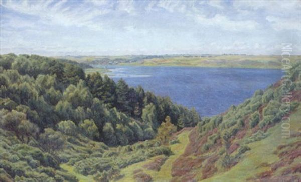 Udsigt Over Mariager Fjord Med Hobro I Baggrunden Oil Painting by Henrik Gamst Jespersen