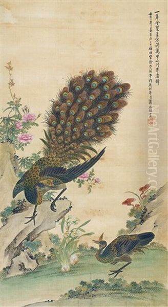 Peacock Oil Painting by  Jiang Tingxi