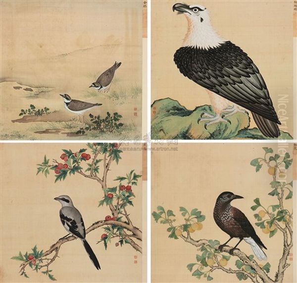 Album Of Birds (4 Works) Oil Painting by  Jiang Tingxi