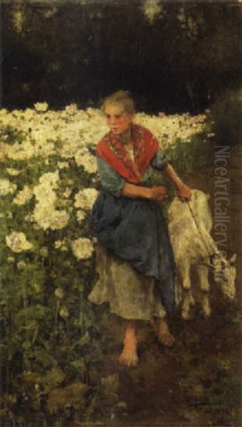 A Young Girl With A Goat By A Field Of Flowers Oil Painting by Luis Jimenez Y Aranda