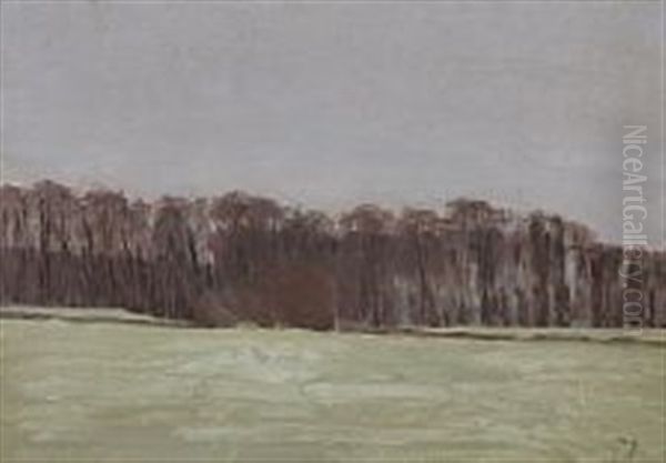 Thorvald Jacobsens Skov I Rutsker Krak Oil Painting by Claus Johansen