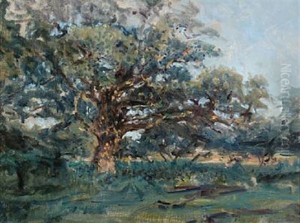 A Large Oak Tree Oil Painting by Viggo Johansen