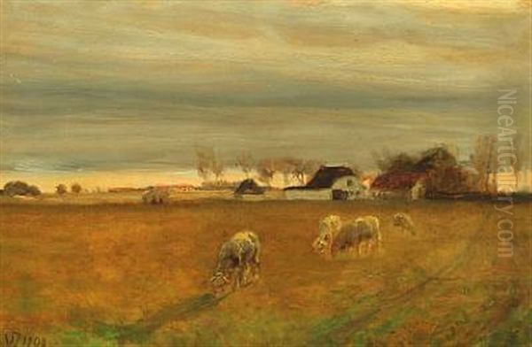 Landscape From Skagen With Grazing Sheep Oil Painting by Viggo Johansen