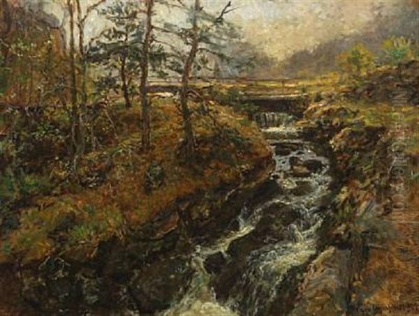 En Skovbaek Ved Tyreso Oil Painting by Viggo Johansen