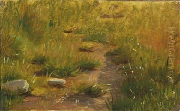 Meadow (study) Oil Painting by Viggo Johansen