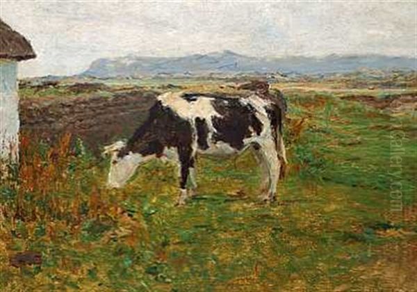 En Graessende Ko Pa Kuperede Marker I Svinklov, Jylland Oil Painting by Viggo Johansen