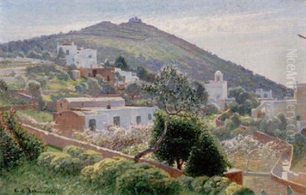 Landskap Med Bebyggelse - Capri I Sol Oil Painting by Carl (August) Johansson