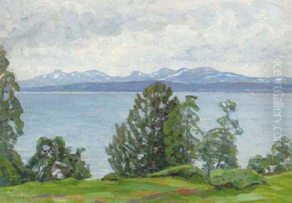 Sommarlandskap, Kallsjon, Jamtland Oil Painting by Carl (August) Johansson