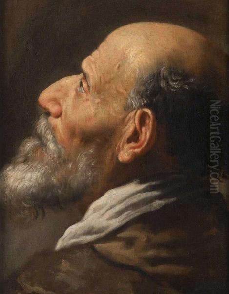 Ritratto Di Vecchio Con Barba Oil Painting by Marcantonio Bassetti