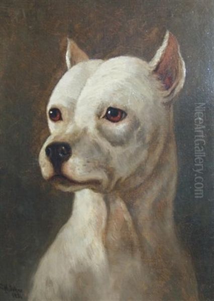 Portrait Of A Bull Terrier Oil Painting by Clarence M Johns