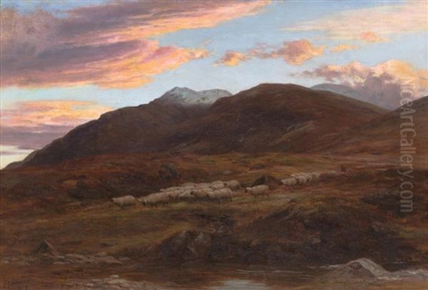 Highland Sheep In Landscape 1879 Oil Painting by Charles Edward Johnson