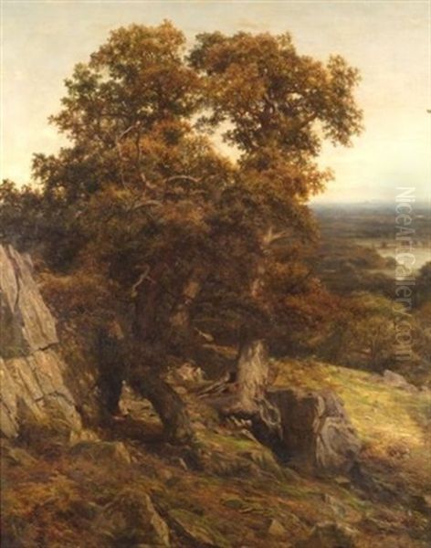 Woodland And Stream Oil Painting by Charles Edward Johnson