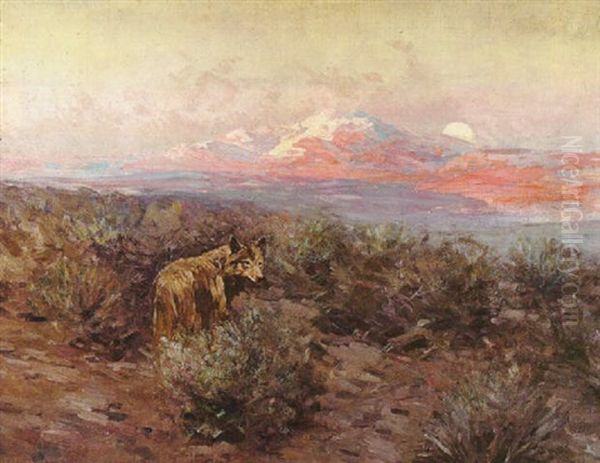 Coyote Moonrise #4 Oil Painting by Frank Tenney Johnson