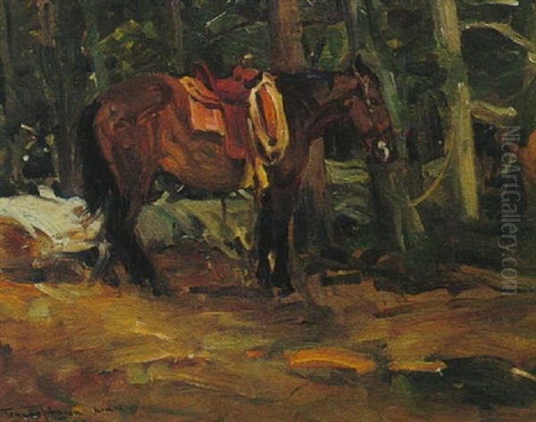 Dark Horse Oil Painting by Frank Tenney Johnson