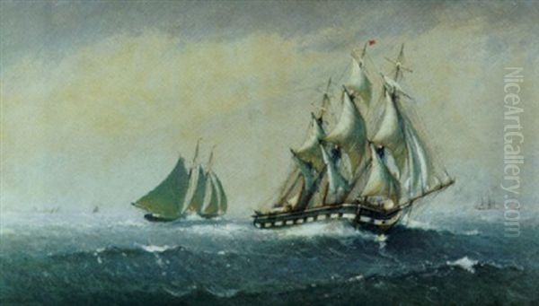 Clipper Ship 