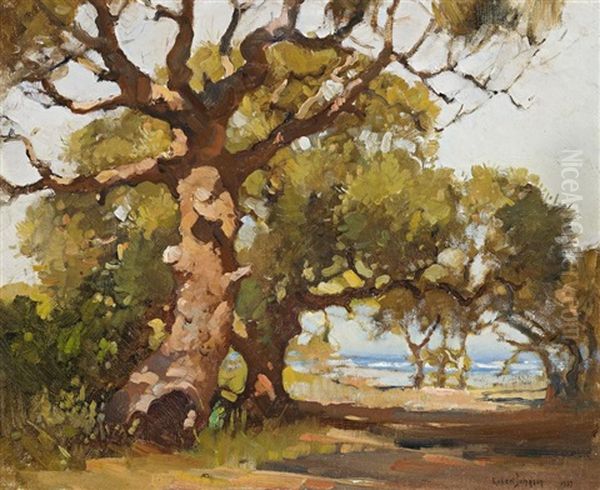 Gum Tree At Palm Beach Oil Painting by Robert Johnson