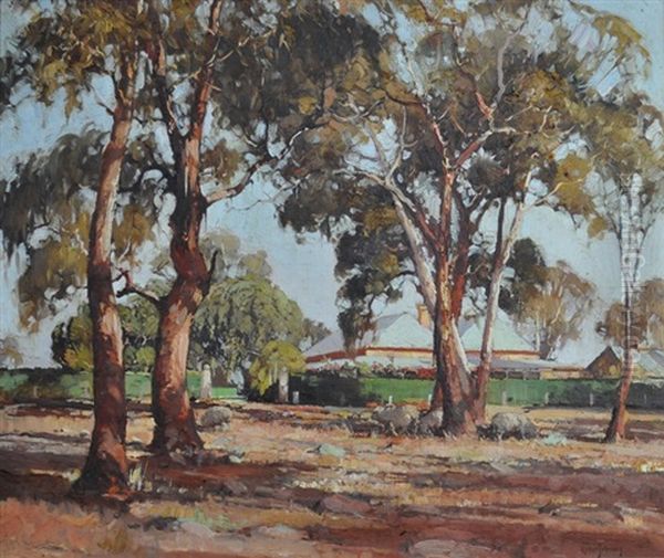 Sheep, Gums & Homestead Oil Painting by Robert Johnson