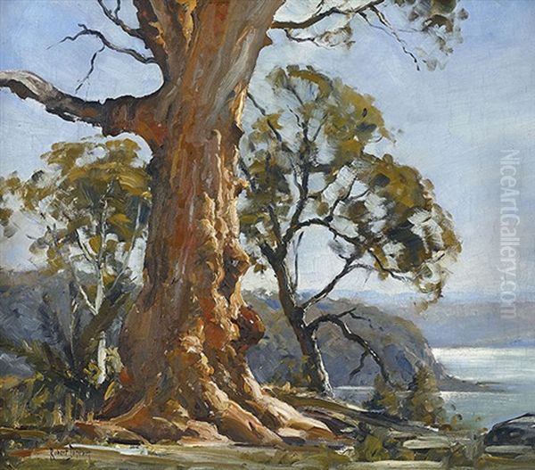 Angophora, Avalon Heights Oil Painting by Robert Johnson