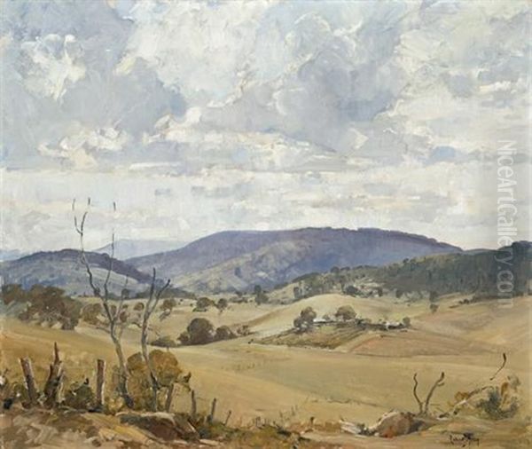 West Of Blue Mountains, New South Wales Oil Painting by Robert Johnson