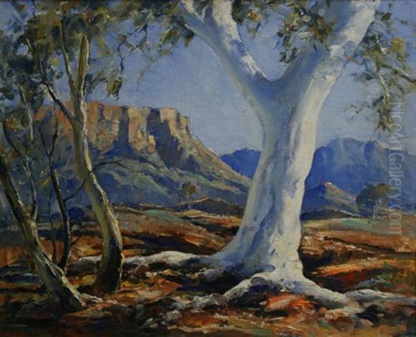 Ghost Gums, Central Australia, Mt Gillen Oil Painting by Robert Johnson