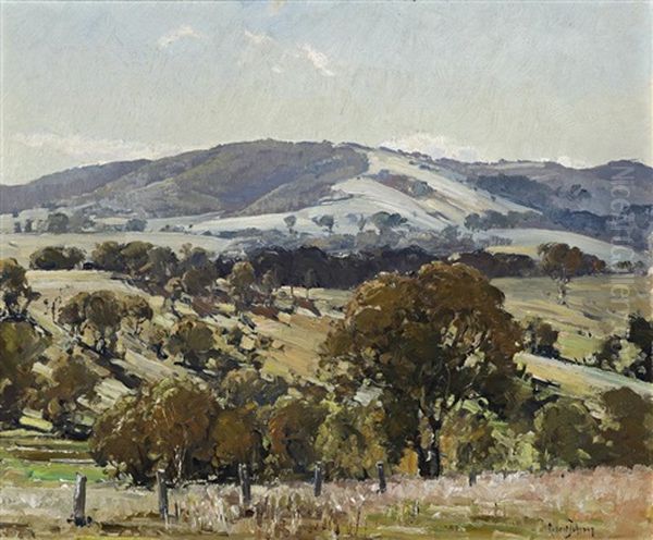 The Hills Near Gundagai, Nsw Oil Painting by Robert Johnson