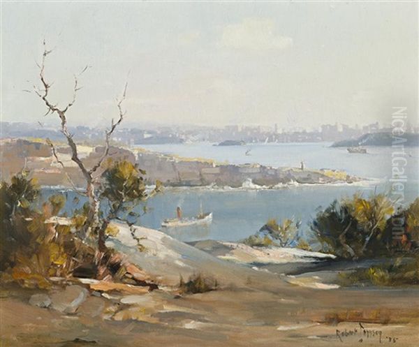 Sydney Harbor From North Head by Robert Johnson