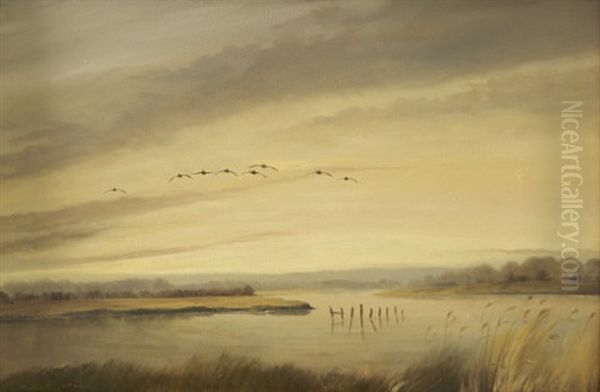 Ducks Flighting In The Wexford Slobs Oil Painting by Robert Johnson