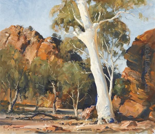 Flinders Range Ghost Gum Oil Painting by Robert Johnson