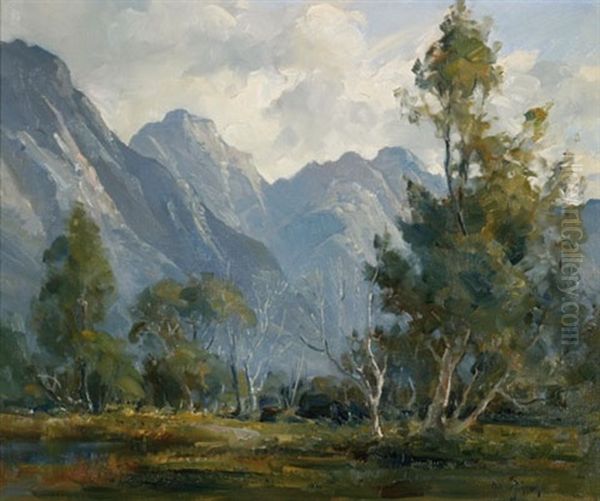 Frankland Range, Tasmania Oil Painting by Robert Johnson