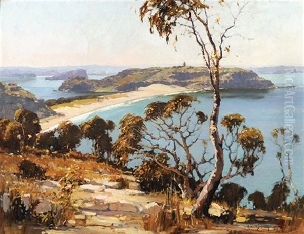 Palm Beach To Barrenjoey, Nsw Oil Painting by Robert Johnson