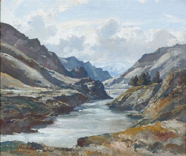 Cromwell Valley, Otago Oil Painting by Robert Johnson