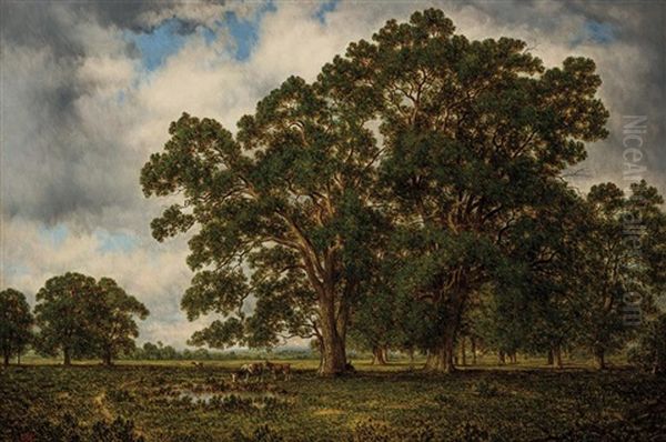 Oaks On The Genesee Oil Painting by David Johnson