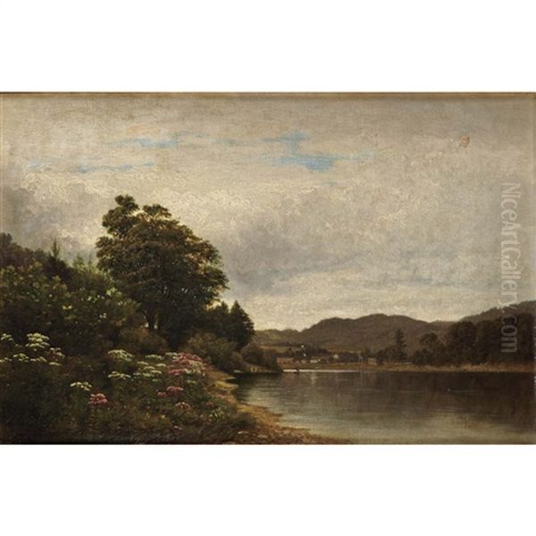 Study. On The Delaware. - At Hancock (queen Of The Meadow & Boneset) Oil Painting by David Johnson