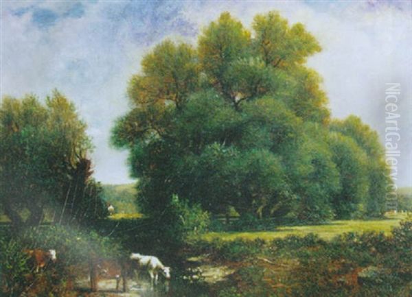 Cattle Watering In A Stream Oil Painting by David Johnson