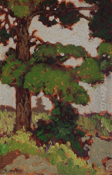 Pine Oil Painting by Francis Hans Johnston