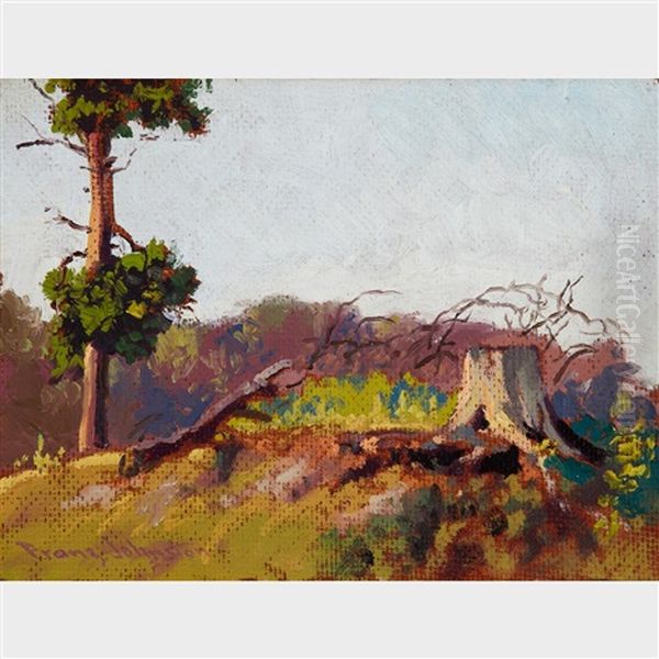 The Old Stump Oil Painting by Francis Hans Johnston